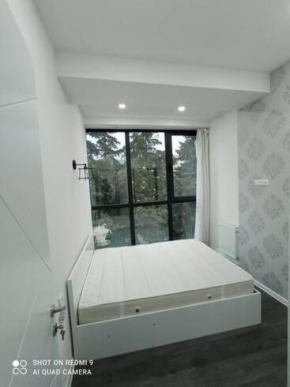 Flat in the center of Tbilisi, Saburtalo